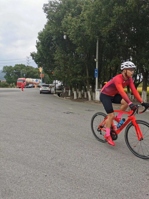 金秋喜迎 第七屆環(huán)象山自行車騎游大賽